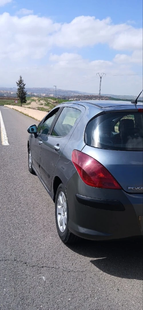 Peugeot 308 2009 Platinum 