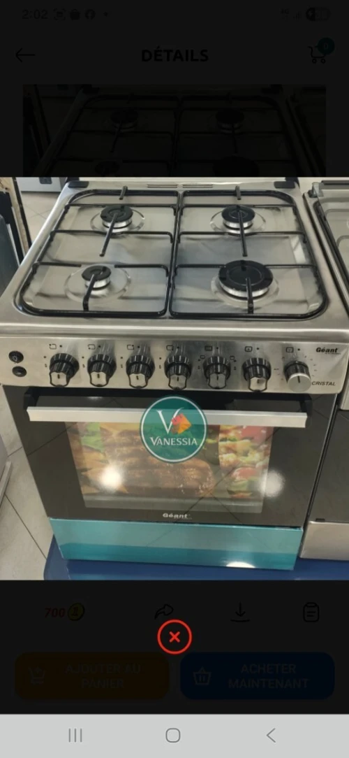 Cuisinière Marque Géant Cristal Ventiller En  Inox