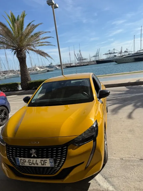 Peugeot 208 2023 