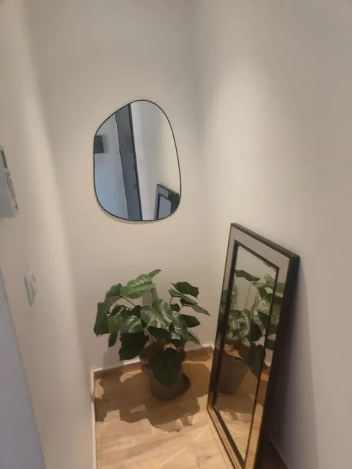 Location Appartement Studio Tipaza Tipaza
