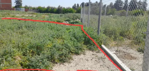 Vente Terrain Alger Sidi moussa