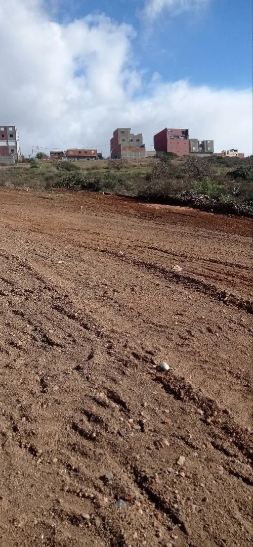 Vente Terrain Tlemcen Souahlia