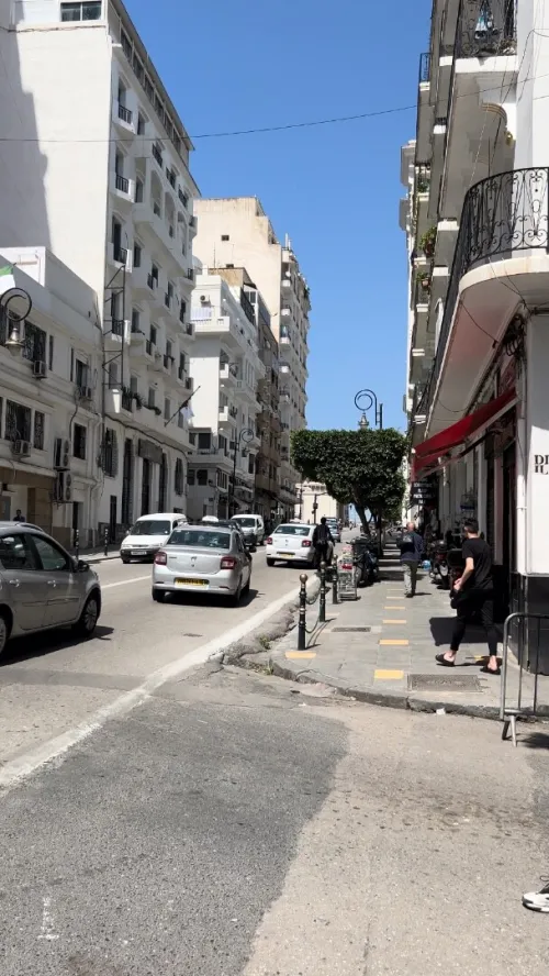 Vente Local Alger Alger centre