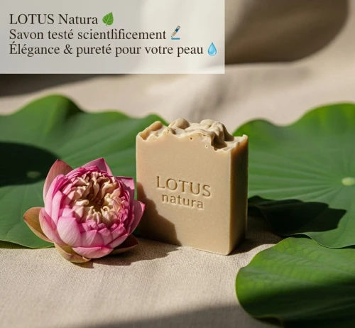 Savon Artisanal LOTUS Natura Figue de Barbarie