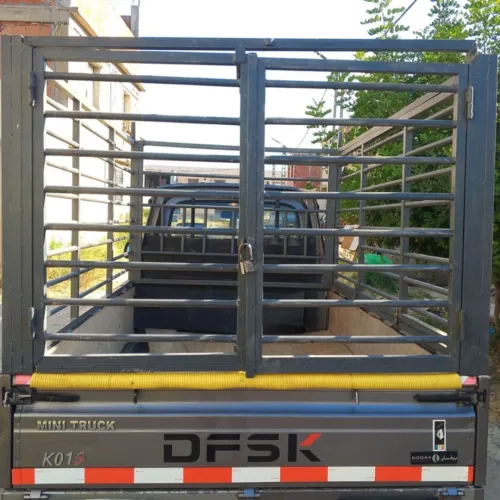 DFSK DFSK 2024 