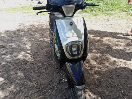 Cuxi Extate X 2023