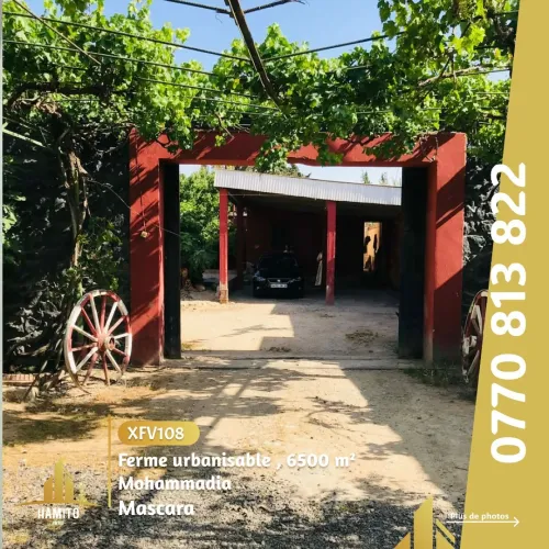 Vente bien immobilier Mascara Mohammadia