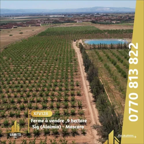 Vente Terrain Mascara Alaimia
