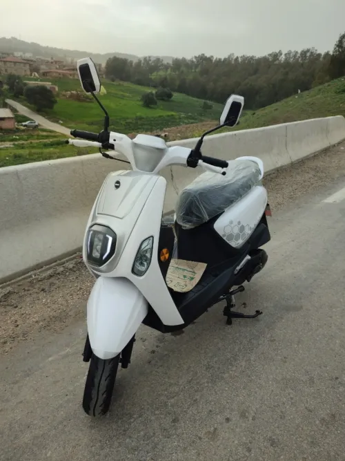 Vms Estate x 2025