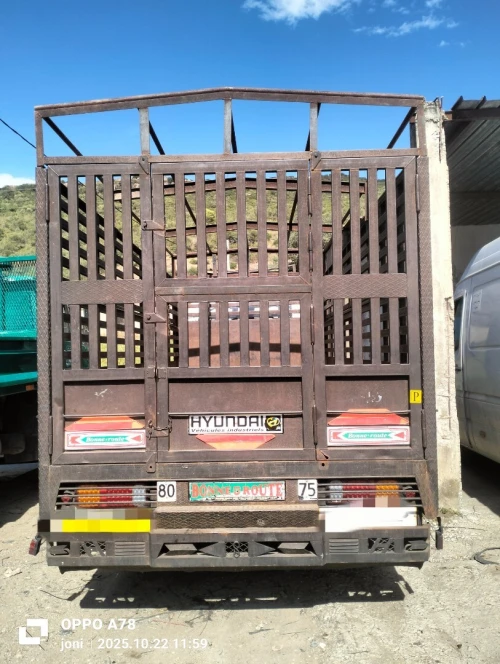 Hyundai Hd65 2010