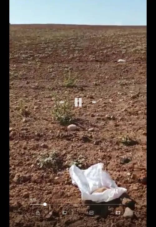 Vente Terrain Agricole Tiaret Tiaret