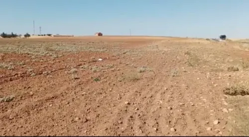 Vente Terrain Agricole Tiaret Tiaret