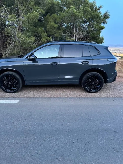 Volkswagen Tiguan 2025 Gris dauphin