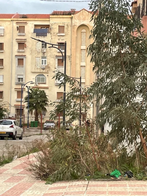 Vente Appartement F4 Jijel Jijel