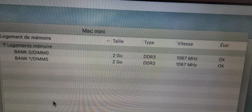 MAC MINI 4.1