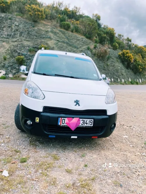 Peugeot B9 2014 