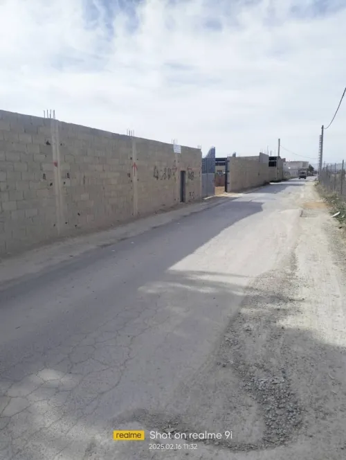 Vente Terrain Sétif Mezloug