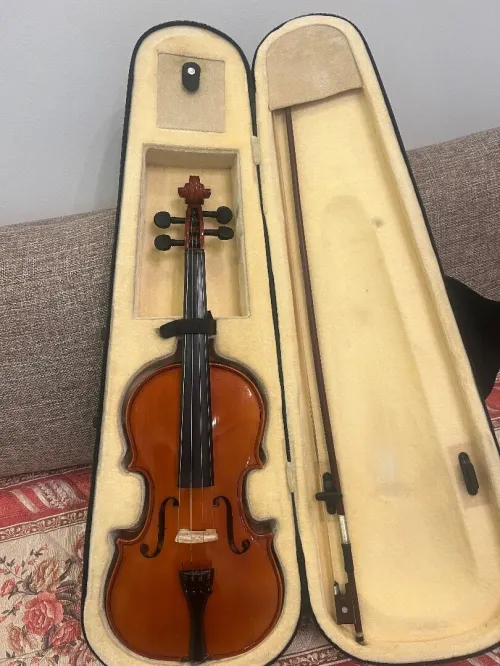 Violon 4/4 ROXTON