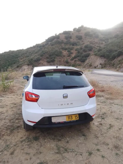 Seat Ibiza 2013 Fully