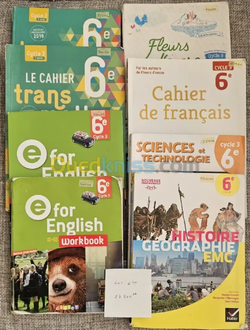 Lots des livres collège LIAD