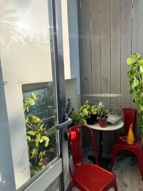 Vente Appartement Studio Alger Hydra