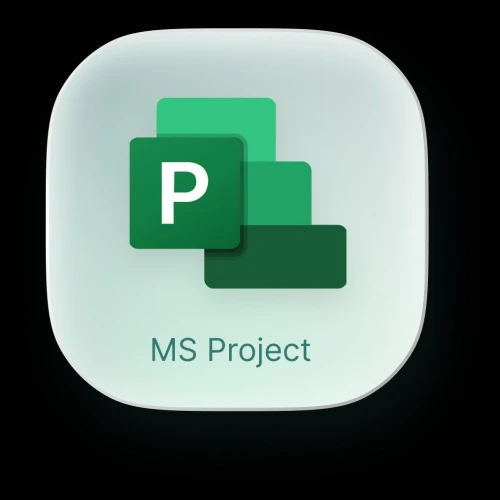 Microsoft Project Professional