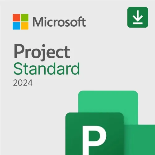 Microsoft Project Professional