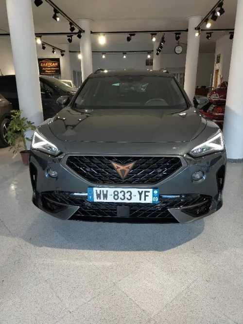 Seat Cupra  2024 Fermantor