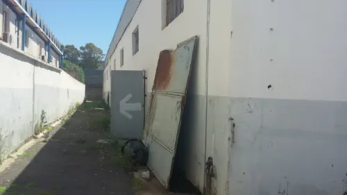 Location Hangar - Usine Tipaza Bou ismail