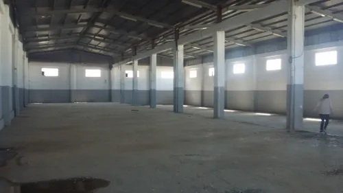 Location Hangar - Usine Tipaza Bou ismail