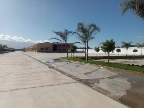 Location Hangar - Usine Blida Boufarik
