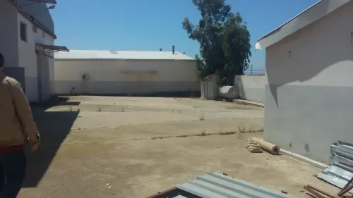 Location Hangar - Usine Tipaza Bou ismail