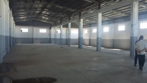Location Hangar - Usine Tipaza Bou ismail