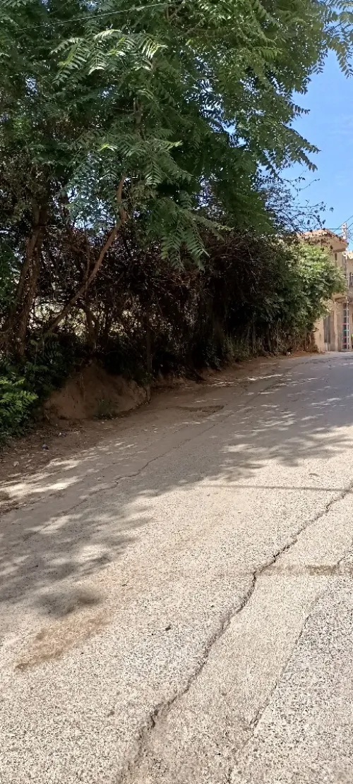 Vente Terrain Tlemcen Tlemcen