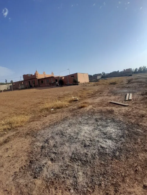 Vente Terrain Sidi Bel Abbès Amarnas