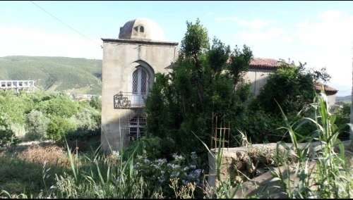 Vente Terrain Aïn Defla Miliana