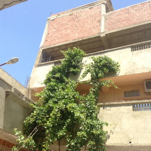 Vente Villa Chlef Boukadir