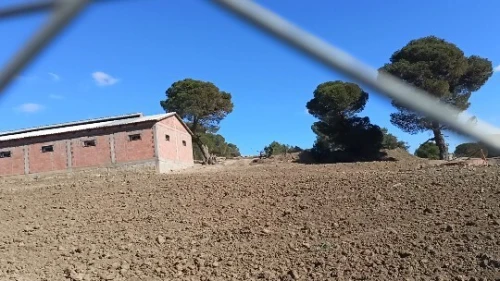Vente Terrain Agricole Médéa Zoubiria