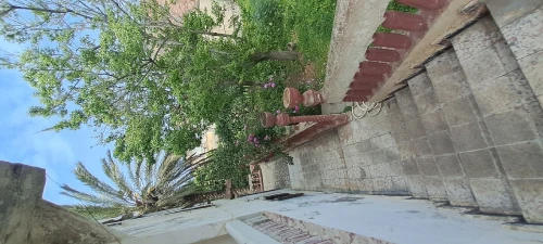 Vente Terrain Tipaza Douaouda