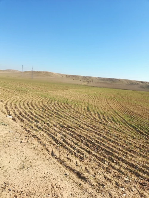 Vente Terrain Bordj Bou Arreridj El anseur