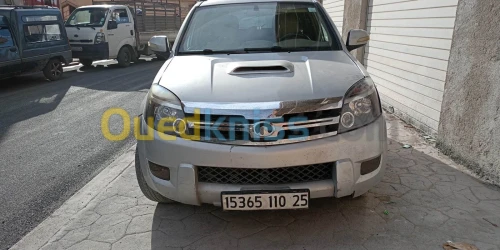 Great Wall hover 2010 hover