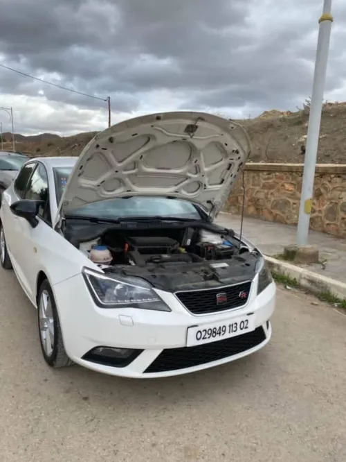Seat Ibiza 2013 Édition sport