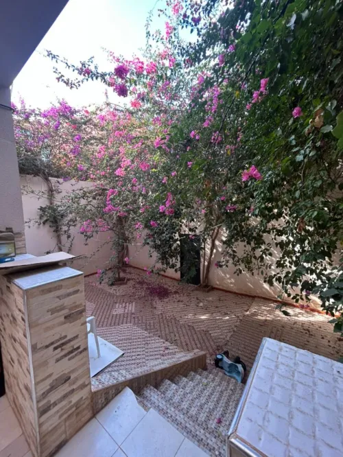 Vente Terrain Oran Bir el djir