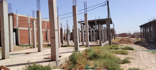 Vente Terrain Djelfa Ain oussara 5