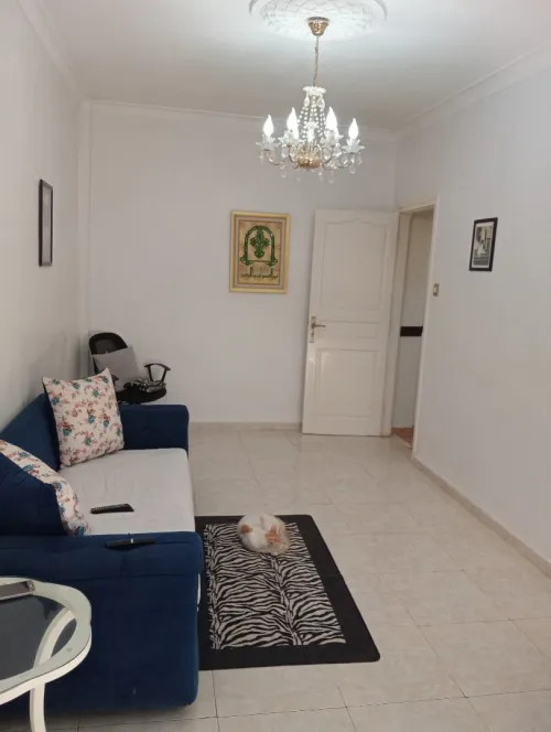 Vente Appartement F5 Alger Beni messous