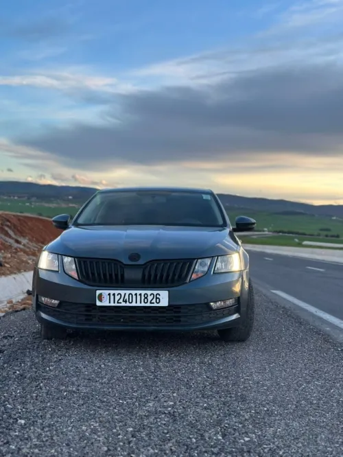Skoda Octavia 2018 Ambition