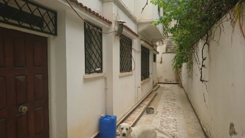 Vente Terrain Alger Hydra