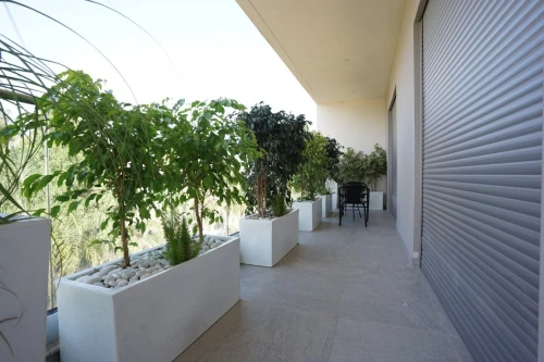 Vente Appartement Alger El achour