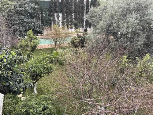 Location Villa Alger Birkhadem