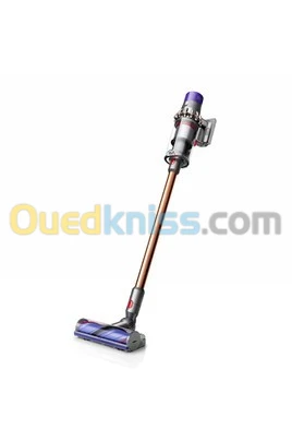 Dyson Aspirateur Balai V10 Absolute 